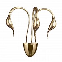 бра lightstar cigno collo 751632 в Чебоксарах