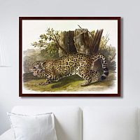 картина: jaguar, 1841г. в Чебоксарах