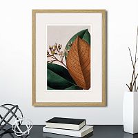 картина: exotic plants of the world №14, 1815г. в Чебоксарах