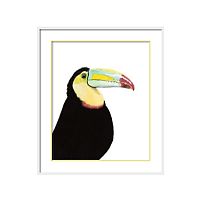 постер toucan разноцветный в Чебоксарах