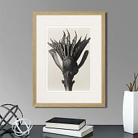 картина: botanical philosophy of forms №8, 1912г. в Чебоксарах