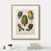 картина: exotic plants of the world №1, 1815г. в Чебоксарах