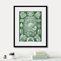 картина: art forms of nature №5, 1897г. в Чебоксарах