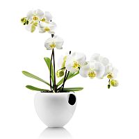 горшок для орхидеи orchid pot белый в Чебоксарах