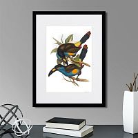 картина: toucans №4, 1849г. в Чебоксарах