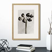 картина: botanical philosophy of forms №4, 1912г. в Чебоксарах