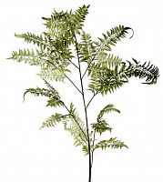 декор fl12056 (giant fern) в Чебоксарах