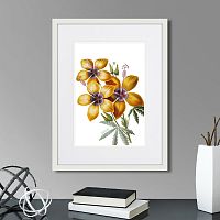 картина: caribian flora yellow hibiscus, 1740г. в Чебоксарах