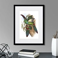картина: toucans №5, 1849г. в Чебоксарах