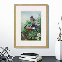 картина: bullfinches, 1915г. в Чебоксарах