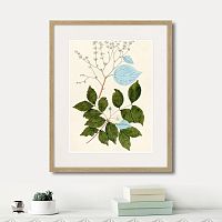 картина: fragmenta botanica №3, 1809г. в Чебоксарах