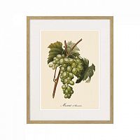 картина juicy fruit lithography №13-1, 1870 г., 42х52 см в Чебоксарах