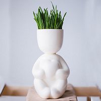 набор для выращивания eco романтик в Чебоксарах