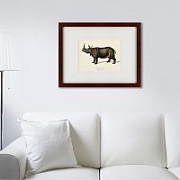 картина: rhinoceros ancienne gravure, 1849 в Чебоксарах