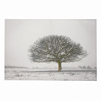 принт wood на подрамнике в Чебоксарах