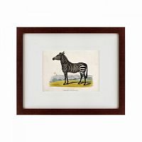 картина: a zebra, 1830 в Чебоксарах