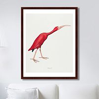 картина: scarlet ibis, 1827г. в Чебоксарах