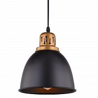 подвесной светильник arte lamp eurica a4245sp-1bk в Чебоксарах