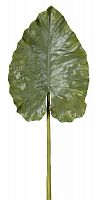 декор giant taro leaf в Чебоксарах