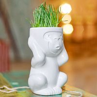 горшок для растений eco игнорик в Чебоксарах