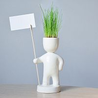 набор для выращивания eco знаменосец в Чебоксарах