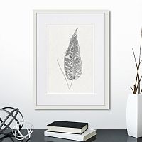 картина: the fern collection №5 в Чебоксарах