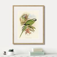 картина: love parrots ii, 1851г. в Чебоксарах
