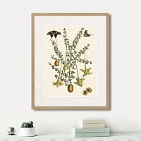 картина: juicy fruit lithography №1, 1870г. в Чебоксарах