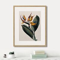 картина: exotic plants of the world №4, 1815г. в Чебоксарах