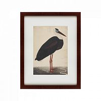 картина: black stork in a landscape, индия, 1780 в Чебоксарах