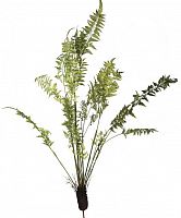 декор fern plant в Чебоксарах