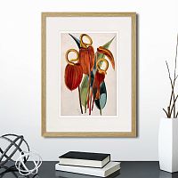 картина: exotic plants of the world №15, 1815г. в Чебоксарах