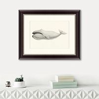 картина: bowhead whale (balaena mysticetus), 1856 в Чебоксарах