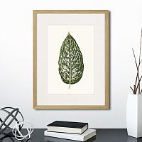 картина: single leaf of a plant №1, 1865г. в Чебоксарах