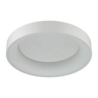 потолочный светодиодный светильник odeon light sole 4062/50cl в Чебоксарах